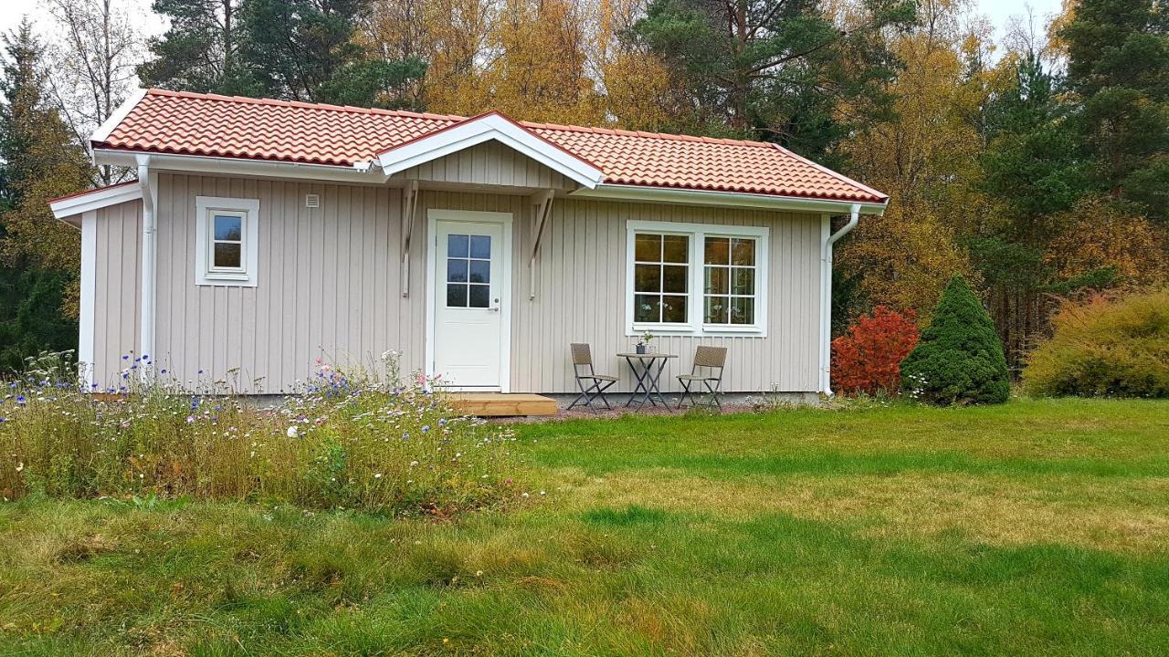 Nybyggd Stuga Intill Skogsbrynet - New Built Cottage Next To The Cowberry Forest Mora Zewnętrze zdjęcie
